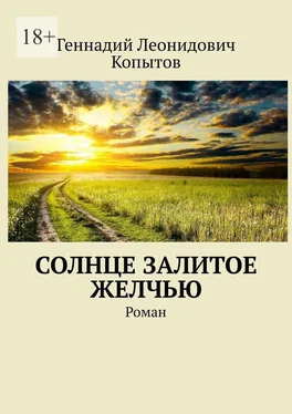 Геннадий Копытов Солнце залитое желчью. Роман обложка книги