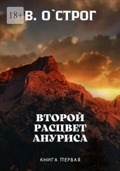 Василий О`Строг - Второй расцвет Ануриса. Книга первая
