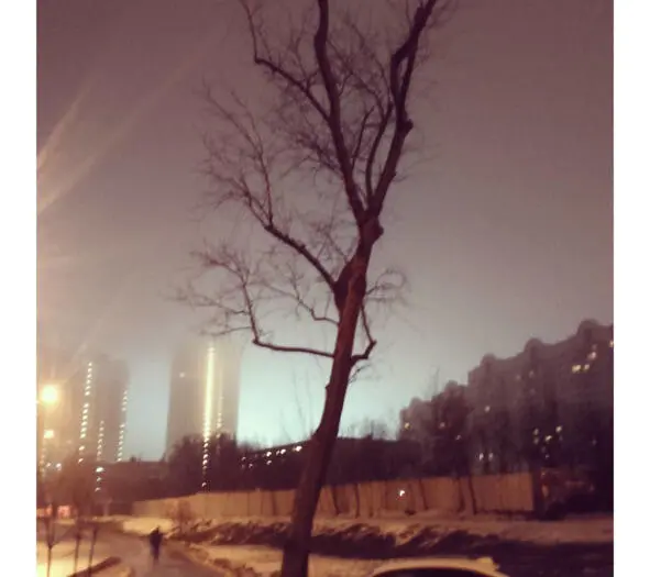 2 Одинокое дерево в тумане Как человек в этом мире Растет обрастает ветвями - фото 2