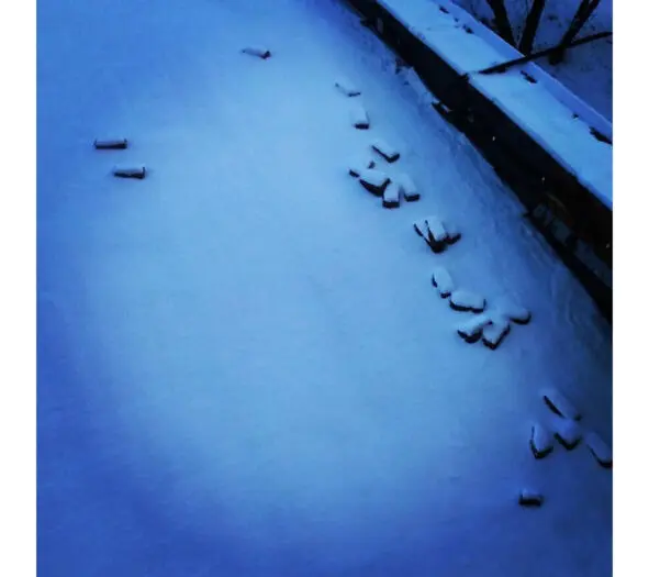 4 Жить как кирпич на плоской крыше Мерзнуть под снегом лежать под дождем без - фото 5