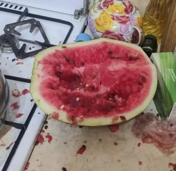Но оказался он вкусный предмет сладкий и сочный его уж и нет Корка на лево - фото 7