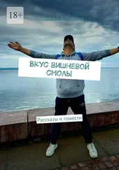 Николай Коровин - Вкус вишневой смолы. Рассказы и повести