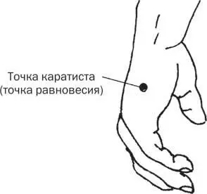 Рис 12 Точка равновесия Когда мы лечим хроническое заболевание диагноз - фото 21