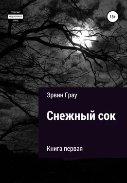 Эрвин Грау Снежный сок. Книга первая обложка книги