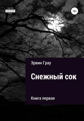 Эрвин Грау - Снежный сок. Книга первая