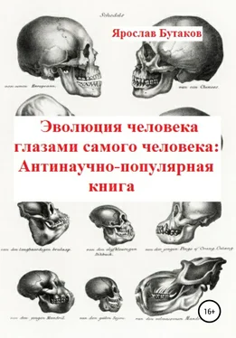 Ярослав Бутаков Эволюция человека глазами самого человека: Антинаучно-популярная книга обложка книги