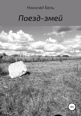 Николай Бель Поезд-змей обложка книги