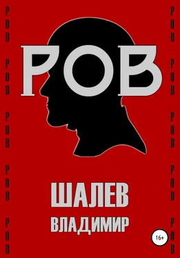 Владимир Шалев Ров обложка книги