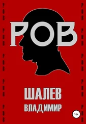 Владимир Шалев - Ров