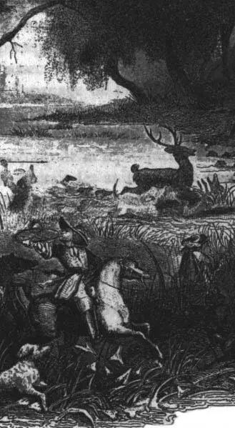 La chasse a toujours été la distraction favorite des hommes de guerre en temps - фото 5