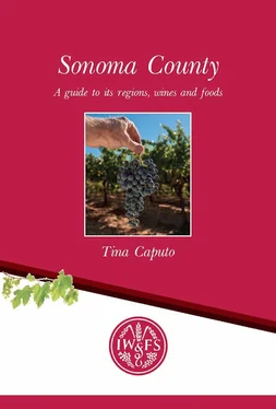 Tina Caputo Sonoma County обложка книги