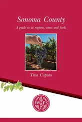 Tina Caputo - Sonoma County