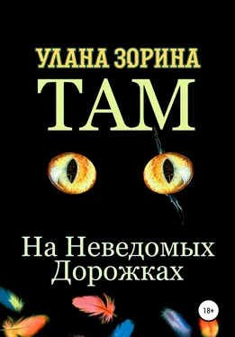 Улана Зорина Там на Неведомых Дорожках обложка книги