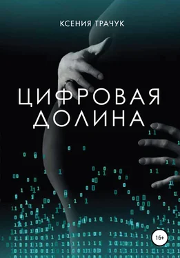 Ксения Трачук Цифровая долина обложка книги