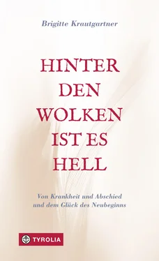 Brigitte Krautgartner Hinter den Wolken ist es hell обложка книги