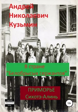 Андрей Кузьмин В стране «белобрысых сержантов» обложка книги