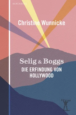Christine Wunnicke Selig & Boggs обложка книги