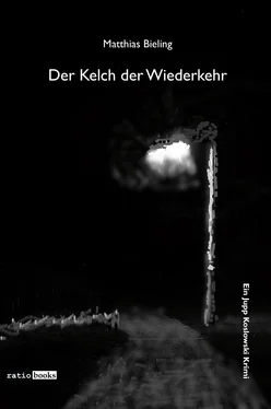 Matthias Bieling Der Kelch der Wiederkehr обложка книги