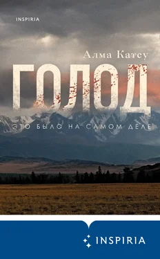 Алма Катсу Голод обложка книги