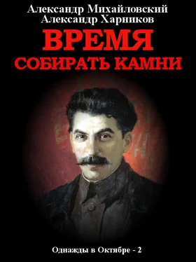 Александр Михайловский Время собирать камни. Том 2 обложка книги