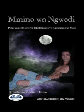 Amy Blankenship Mmino Wa Ngwedi (Kgokagano Ya Madi) обложка книги