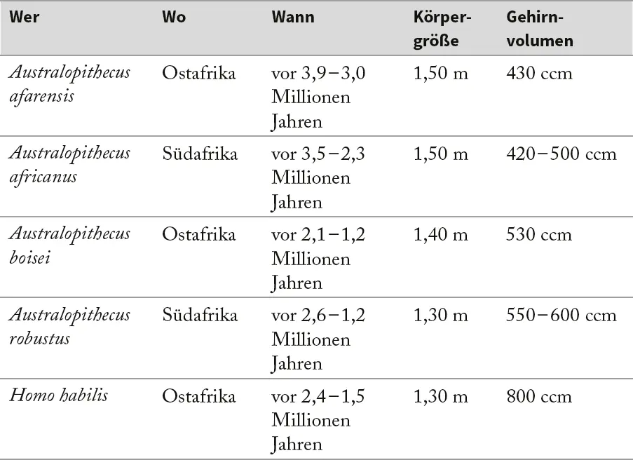 Tabelle 1Die wichtigsten als Fossilien dokumentierten Menschenarten Weitere - фото 3
