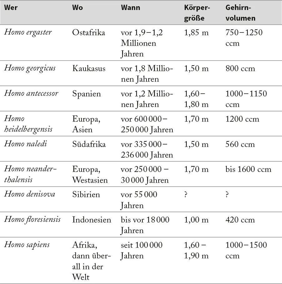 Tabelle 1Die wichtigsten als Fossilien dokumentierten Menschenarten Weitere - фото 4
