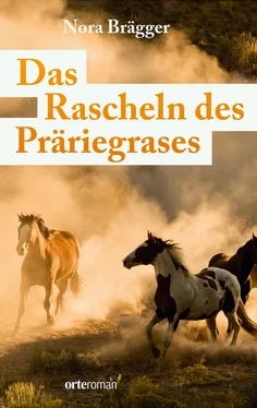 Nora-Lena Brägger Das Rascheln des Präriegrases обложка книги