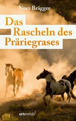 Nora-Lena Brägger - Das Rascheln des Präriegrases