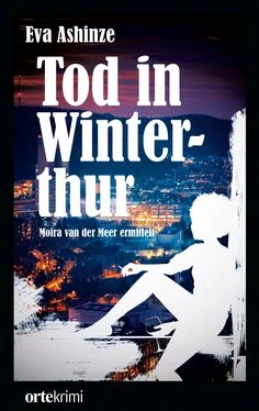 Eva Ashinze Tod in Winterthur обложка книги