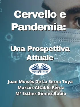 Juan Moisés De La Serna Tuya Cervello E Pandemia: Una Prospettiva Attuale обложка книги