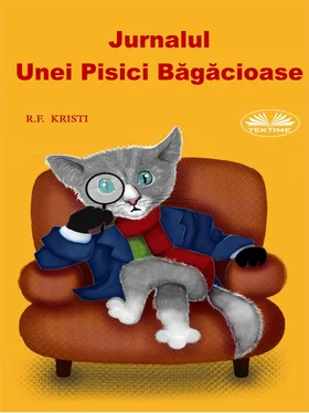 R. F. Kristi Jurnalul Unei Pisici Băgăcioase обложка книги