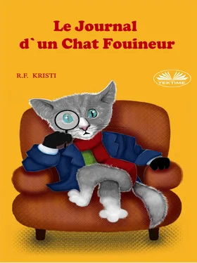 R. F. Kristi Le Journal D'Un Chat Fouineur обложка книги