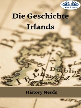 History Nerds Die Geschichte Irlands обложка книги