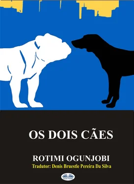 Rotimi Ogunjobi Os Dois Cães обложка книги