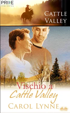 Carol Lynne Vischio A Cattle Valley обложка книги