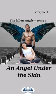 Virginie T. An Angel Under The Skin обложка книги