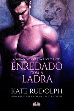 Kate Rudolph Enredado Com A Ladra обложка книги
