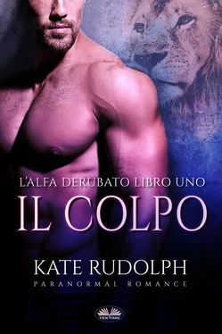 Kate Rudolph Il Colpo обложка книги