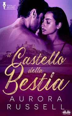Aurora Russell Il Castello Della Bestia обложка книги