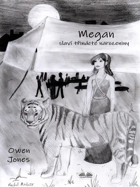 Owen Jones Megan Slaví Třinácté Narozeniny обложка книги