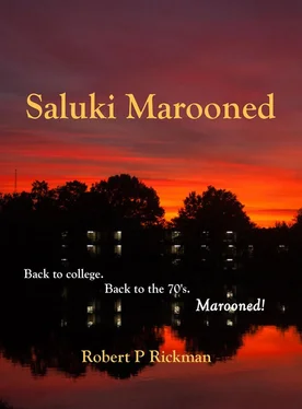 Robert Rickman Saluki Marooned обложка книги