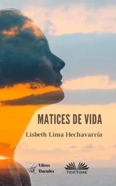 Lisbeth Lima Hechavarría Matices De Vida обложка книги