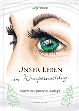 Sonja Pistracher Unser Leben - ein Wimpernschlag обложка книги