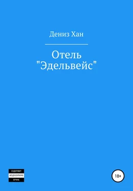 Дениз Хан Отель «Эдельвейс» обложка книги