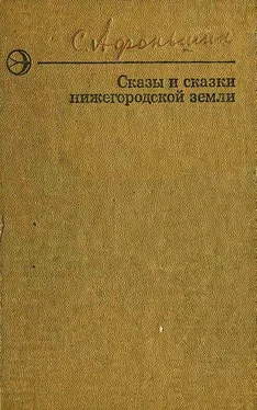 Сергей Афоньшин Сказы и сказки нижегородской земли обложка книги