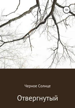 Черное Солнце Отвергнутый обложка книги