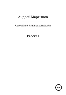 Андрей Мартынов Осторожно, двери закрываются обложка книги