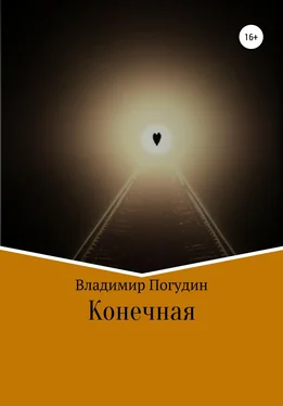 Владимир Погудин Конечная обложка книги