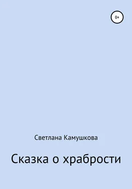 Светлана Камушкова Сказка о храбрости обложка книги